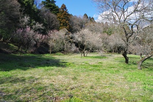 20170402-烏山城攻め-012