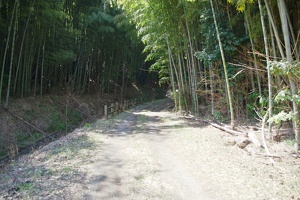 20170402-烏山城攻め-016