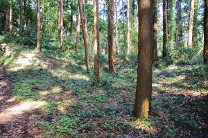 20170402-烏山城攻め-026