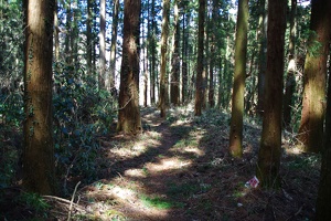 20170402-烏山城攻め-054
