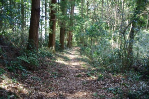 20170402-烏山城攻め-060
