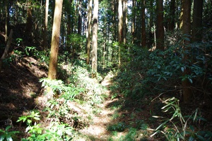 20170402-烏山城攻め-071