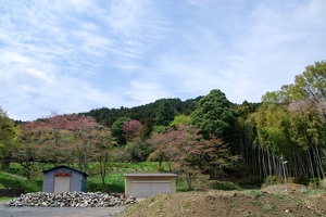 20190421-烏山城攻め2-004