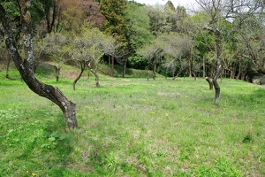 20190421-烏山城攻め2-009
