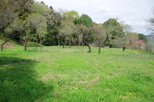 20190421-烏山城攻め2-010