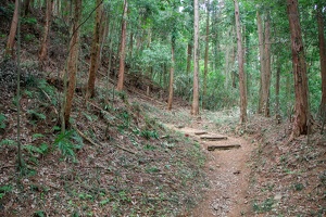 20190421-烏山城攻め2-019