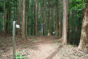 20190421-烏山城攻め2-026