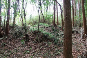20190421-烏山城攻め2-027