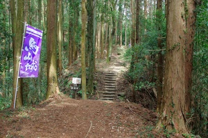 20190421-烏山城攻め2-029