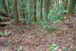 20190421-烏山城攻め2-031