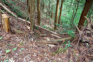20190421-烏山城攻め2-033