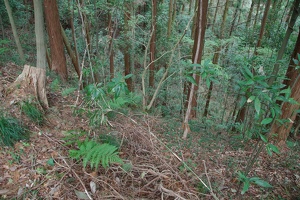 20190421-烏山城攻め2-037