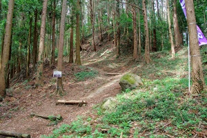 20190421-烏山城攻め2-038