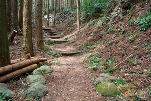 20190421-烏山城攻め2-040