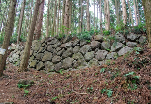 烏山城攻め（2）