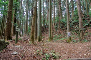 20190421-烏山城攻め2-045