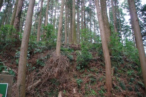 20190421-烏山城攻め2-048