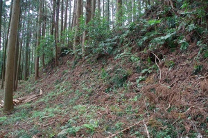 20190421-烏山城攻め2-049
