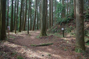 20190421-烏山城攻め2-050