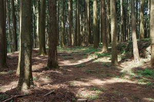20190421-烏山城攻め2-058