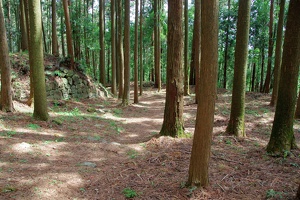 20190421-烏山城攻め2-060