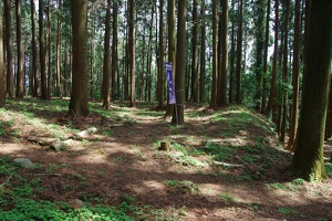 20190421-烏山城攻め2-061