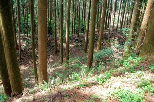 20190421-烏山城攻め2-064