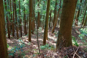 20190421-烏山城攻め2-066