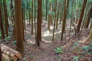 20190421-烏山城攻め2-070