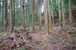 20190421-烏山城攻め2-072