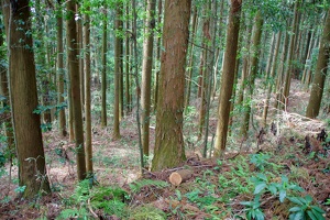 20190421-烏山城攻め2-073