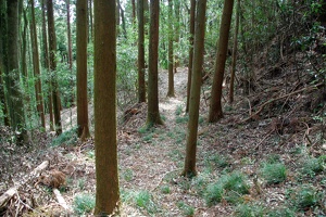 20190421-烏山城攻め2-074