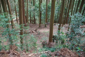 20190421-烏山城攻め2-077