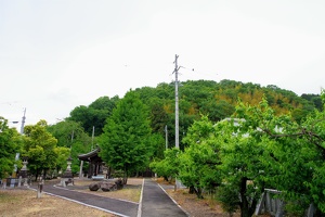 20230430-鷺山城攻め-004