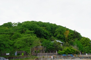 20230430-鷺山城攻め-009