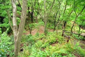 20230430-鷺山城攻め-028