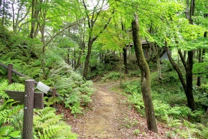 20230430-鷺山城攻め-030