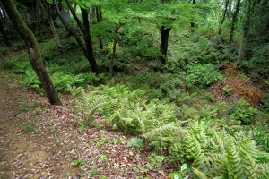 20230430-鷺山城攻め-035