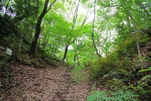 20230430-鷺山城攻め-033