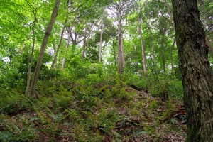 20230430-鷺山城攻め-034