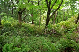 20230430-鷺山城攻め-036