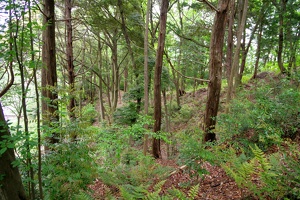 20230430-鷺山城攻め-043