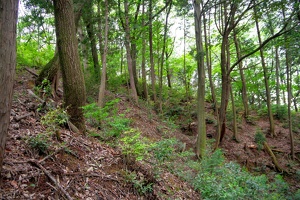 20230430-鷺山城攻め-046