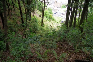 20230430-鷺山城攻め-049