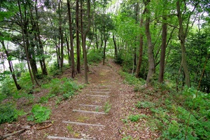 20230430-鷺山城攻め-050