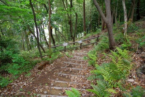 20230430-鷺山城攻め-052