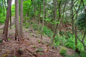 20230430-鷺山城攻め-054