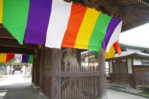20231227-高安寺館攻め-010