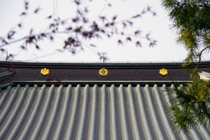 20231227-高安寺館攻め-015