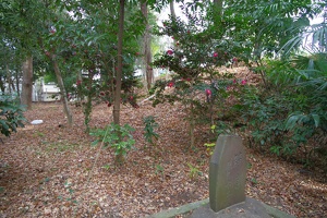 20231227-高安寺館攻め-022